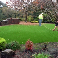 Artificial Grass Great Falls South Carolina Landscape Back