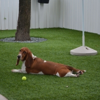 Artificial Grass Installation Fairplains, North Carolina Dog Parks, Dogs Runs