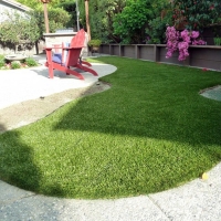 Artificial Pet Turf Ellerbe North Carolina for Dogs