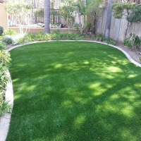 Artificial Turf Bermuda Run, North Carolina Garden Ideas