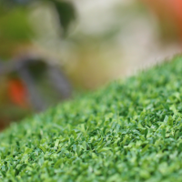 Putt-60 Bicolor Putt-60 Bicolor