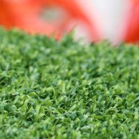 Putt-60 Bicolor Putt-60 Bicolor