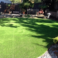 Fake Pet Turf Clemmons North Carolina for Dogs Back Yard