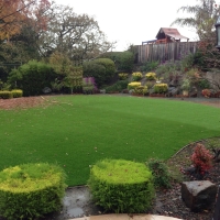 Synthetic Grass Boiling Springs North Carolina Lawn Back