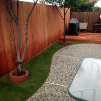 Synthetic Pet Turf Buffalo South Carolina Installation Back