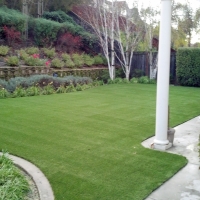 Synthetic Pet Turf Faith North Carolina for Dogs Back Yard