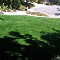 Synthetic Turf East Gaffney South Carolina Lawn Front Yard