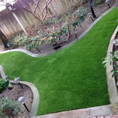 Artificial Grass Cedar Rock North Carolina Lawn Back Yard
