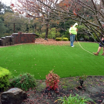 Artificial Grass Great Falls South Carolina Landscape Back