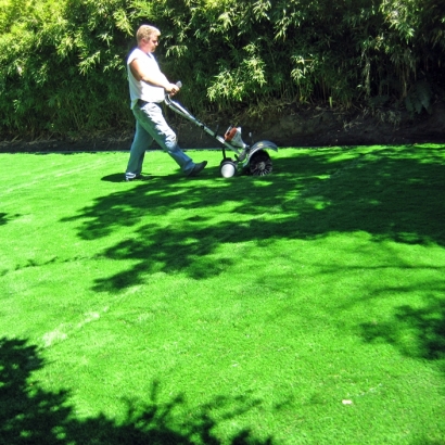 Artificial Grass Heath Springs South Carolina Lawn Back