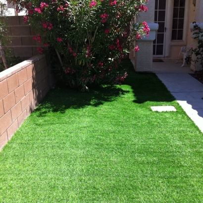 Artificial Grass Maiden North Carolina Landscape Front