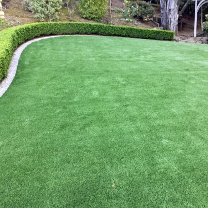 Artificial Grass Spindale North Carolina Lawn