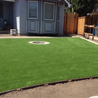 Artificial Grass Winnsboro Mills South Carolina Lawn Back