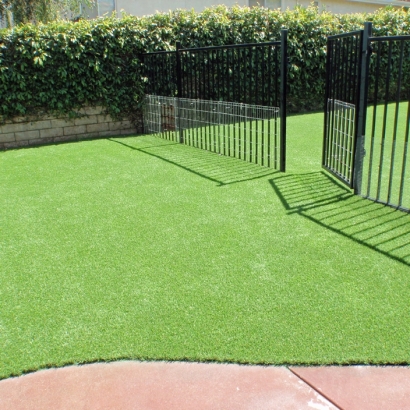 Artificial Pets Areas Mayo South Carolina for Dogs Front