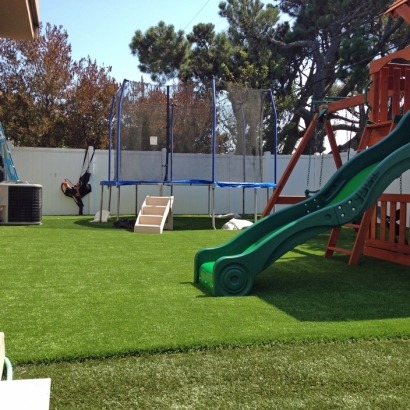 Artificial Turf Mooresville North Carolina Playgrounds Back