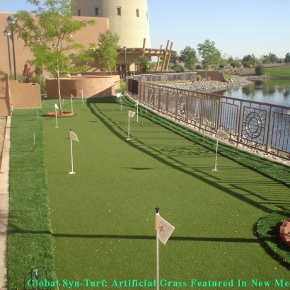 Golf Putting Greens Pineville North Carolina Synthetic Grass