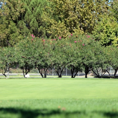 Golf Putting Greens Polkton North Carolina Synthetic Grass