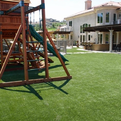 Synthetic Grass Fairview North Carolina Playgrounds Back