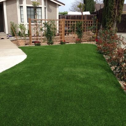 Synthetic Grass McBee South Carolina Lawn
