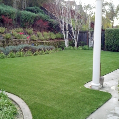 Synthetic Pet Turf Faith North Carolina for Dogs Back Yard
