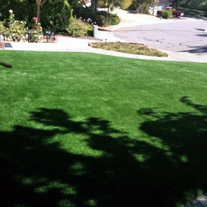 Synthetic Turf East Gaffney South Carolina Lawn Front Yard
