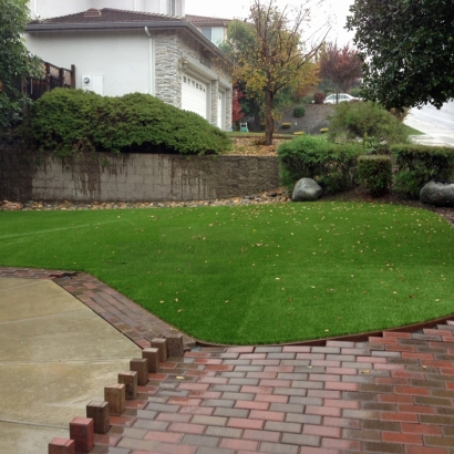 Synthetic Turf Heath Springs South Carolina Landscape Back
