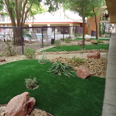 Synthetic Turf Lake Wylie South Carolina Lawn Commercial