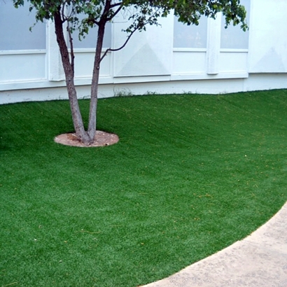 Synthetic Turf Lockhart South Carolina Lawn Commercial Landscape