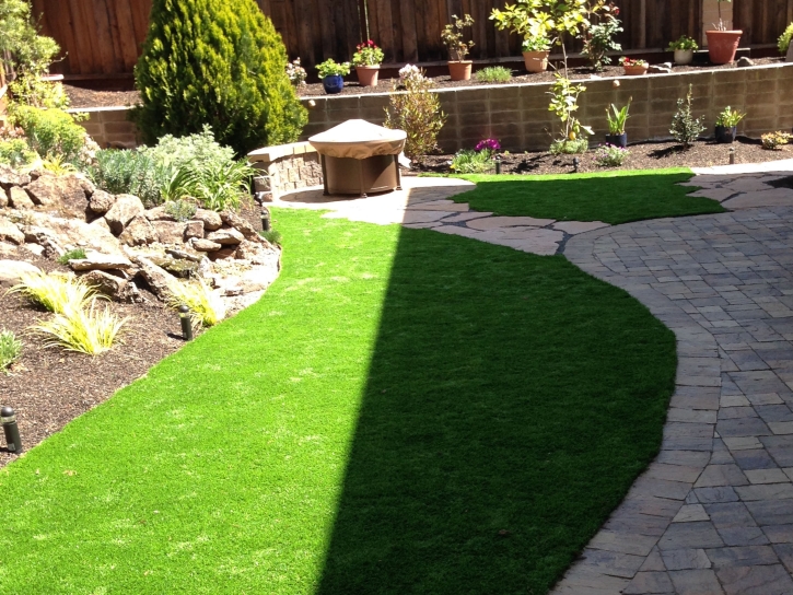 Artificial Grass Boonville, North Carolina Garden Ideas