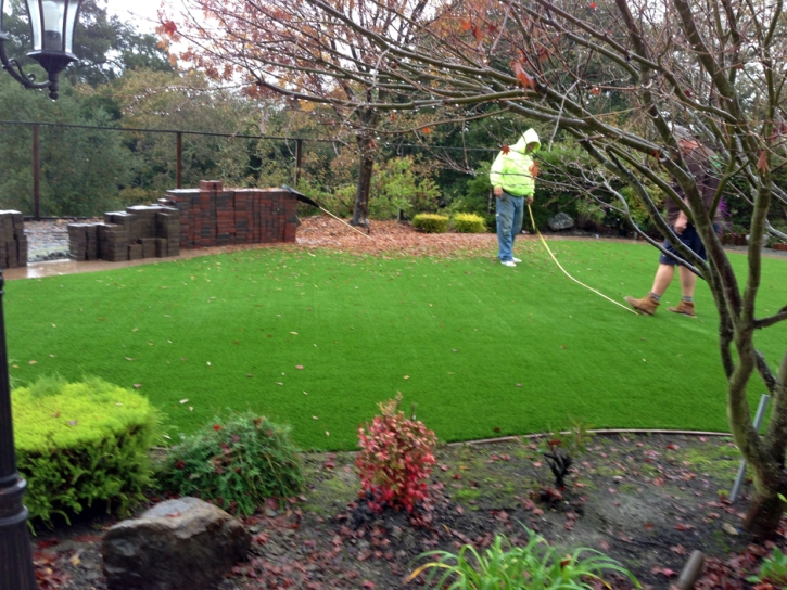 Artificial Grass Great Falls South Carolina Landscape Back
