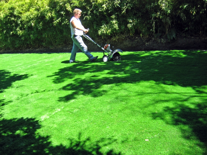 Artificial Grass Heath Springs South Carolina Lawn Back
