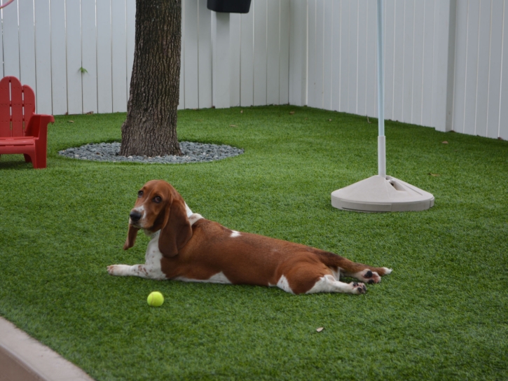 Artificial Grass Installation Fairplains, North Carolina Dog Parks, Dogs Runs