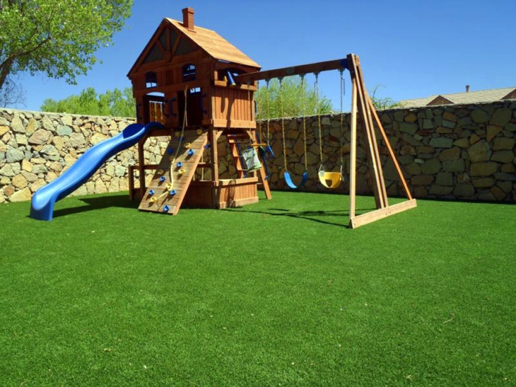 Artificial Grass Waco North Carolina Playgrounds Back Yard