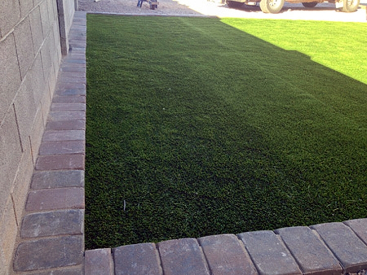 Artificial Pet Grass Clifton South Carolina Installation