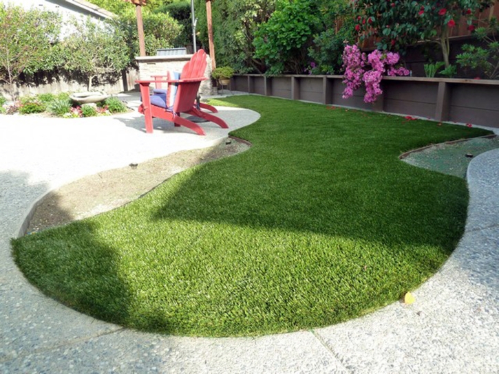 Artificial Pet Turf Ellerbe North Carolina for Dogs