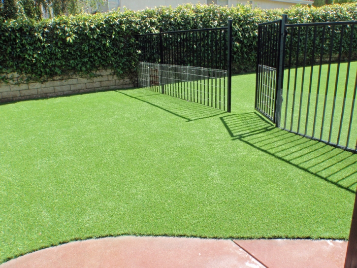 Artificial Pets Areas Mayo South Carolina for Dogs Front