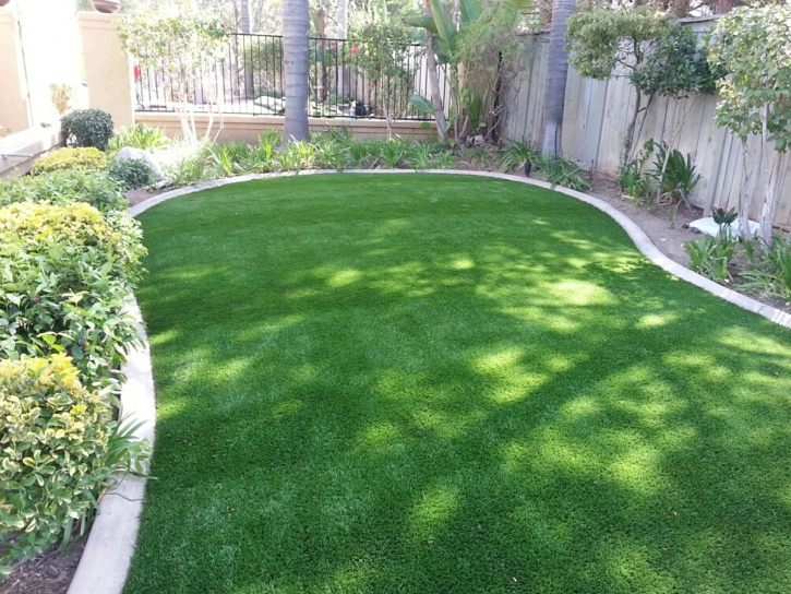 Artificial Turf Bermuda Run, North Carolina Garden Ideas