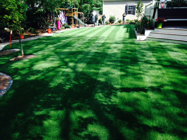 Artificial Turf Bethania, North Carolina Design Ideas, Backyard Design