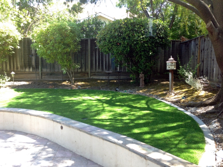 Artificial Turf East Gaffney South Carolina Lawn Commercial