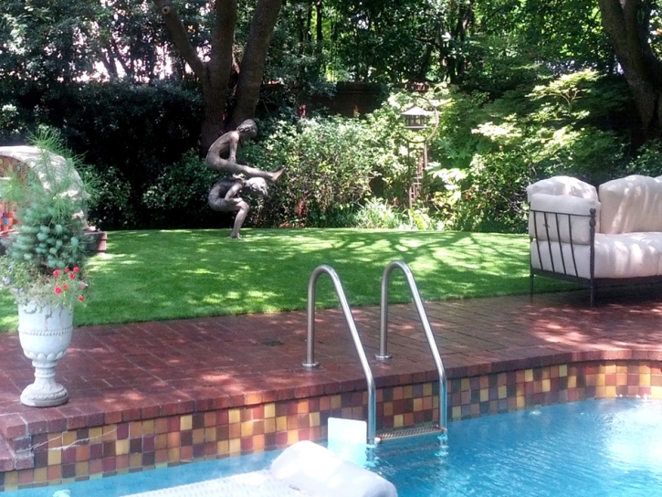 Artificial Turf Longview North Carolina Lawn Swimming Pools