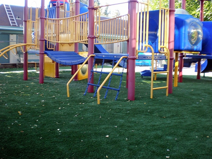 Fake Grass Monarch Mill South Carolina Playgrounds Commercial