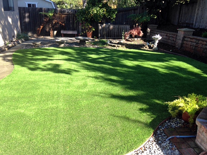 Fake Pet Turf Clemmons North Carolina for Dogs Back Yard