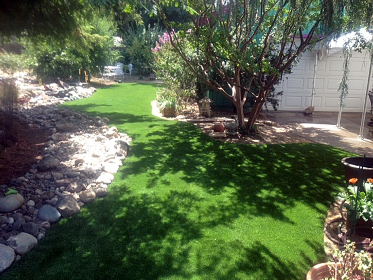 Fake Turf Jefferson South Carolina Lawn Back Yard