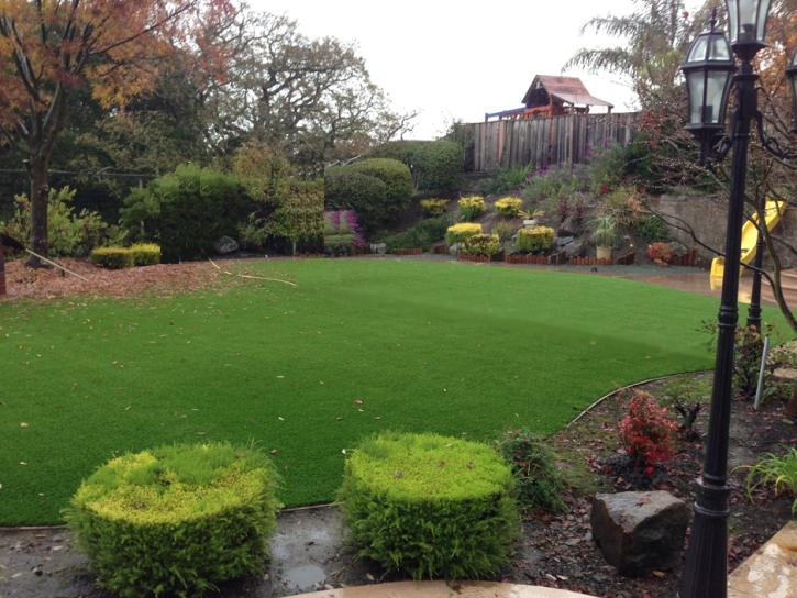 Synthetic Grass Boiling Springs North Carolina Lawn Back