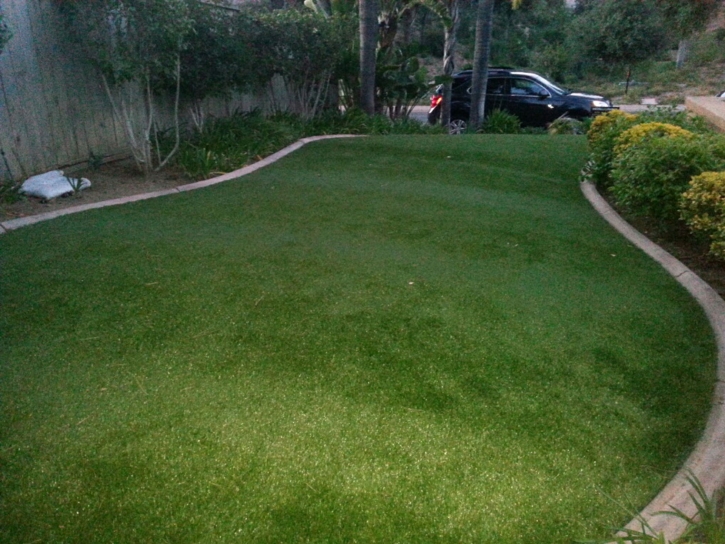 Synthetic Grass Cost Millers Creek, North Carolina Garden Ideas, Front Yard Landscaping Ideas