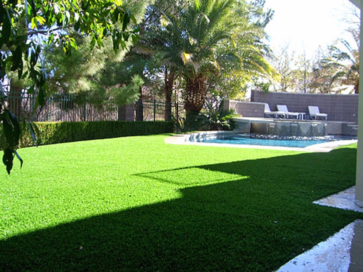 Synthetic Grass Ellerbe North Carolina Landscape
