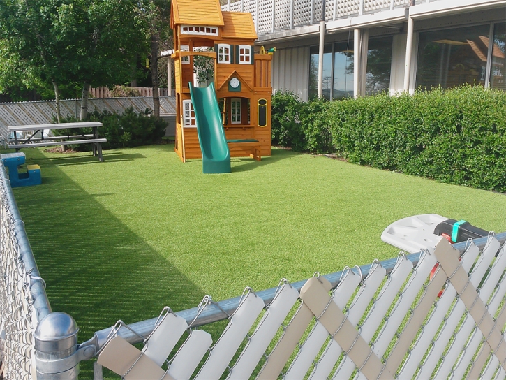 Synthetic Grass Midway North Carolina Kids Care Back Yard
