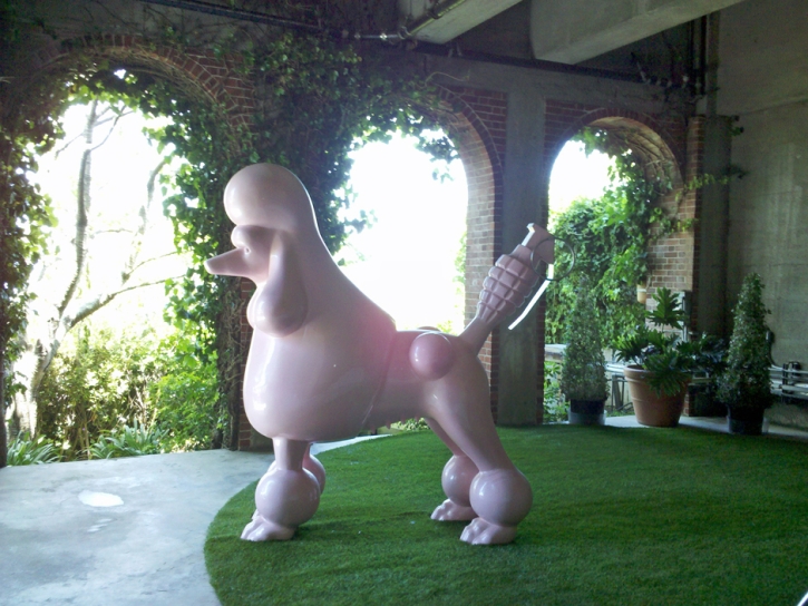 Synthetic Pet Grass Hemby Bridge North Carolina Installation