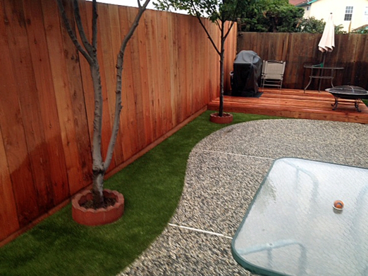Synthetic Pet Turf Buffalo South Carolina Installation Back