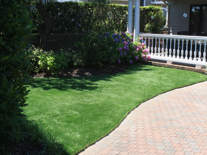 Synthetic Pet Turf Heath Springs South Carolina for Dogs